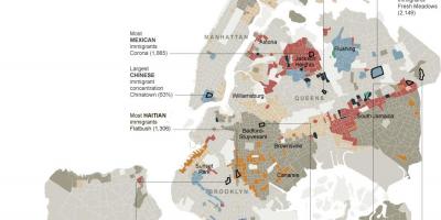 La Ville de New York de l'ethnicité carte